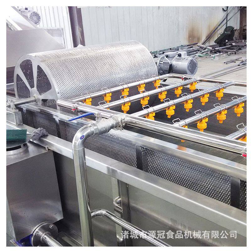 供应葡萄干气泡清洗机 大枣红枣清洗机厂家 连续自动洗果机