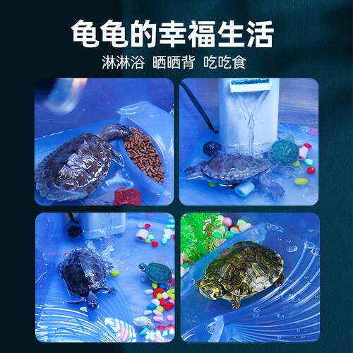 乌龟缸生态缸饲养箱养乌龟专用缸龟缸龟箱家用造景大型养殖缸鳄龟