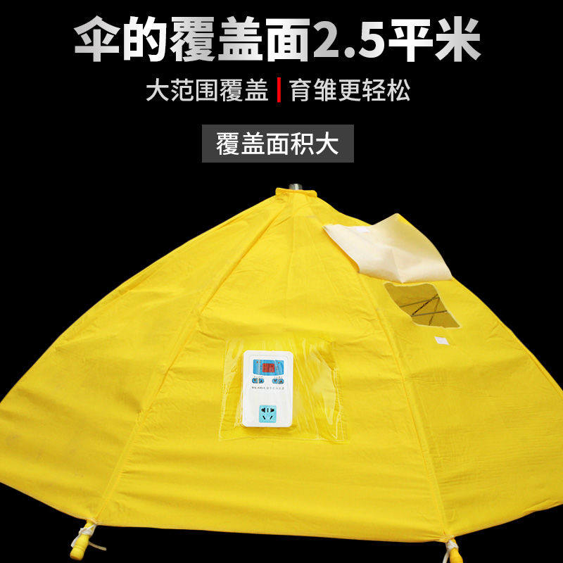 小鸡育雏伞育雏器保温箱孵化机脱温设备自动控温伞保温伞养鸡设备