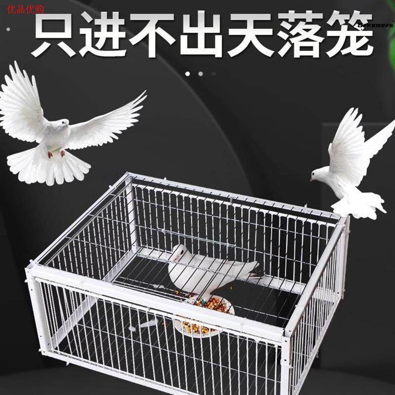 新款加密天落鸽子笼祇进不出自动撞门笼四面埋伏诱捕笼鸽子厂家