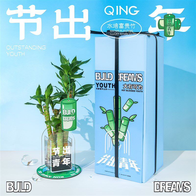 涂鸦造物 水培富贵竹创意办公室桌面小盆栽植物绿植摆件