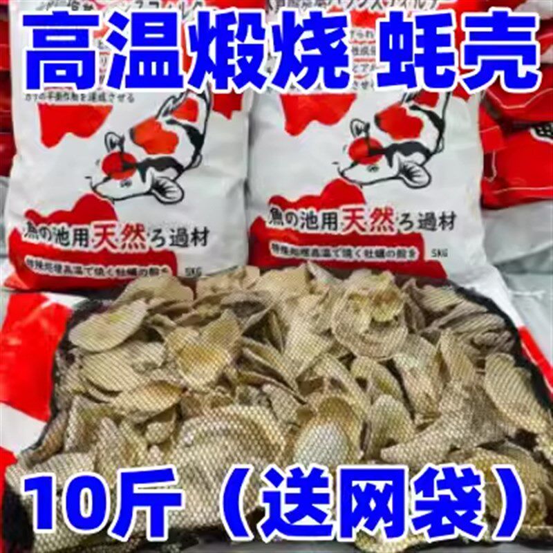 蚝壳鱼池过滤材料天然高温煅烧牡蛎壳锦鲤池滤材生稳定PH值烧过