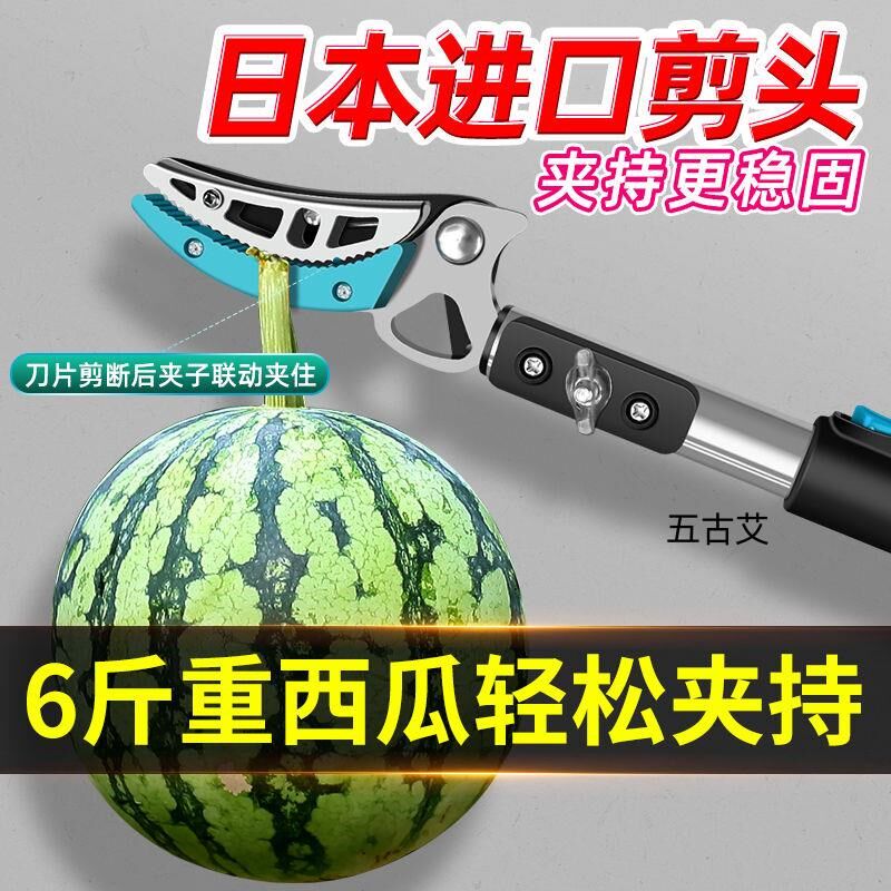 摘水果荔枝龙眼樱桃高枝剪伸缩高空剪采摘果子水果剪加长果树剪刀