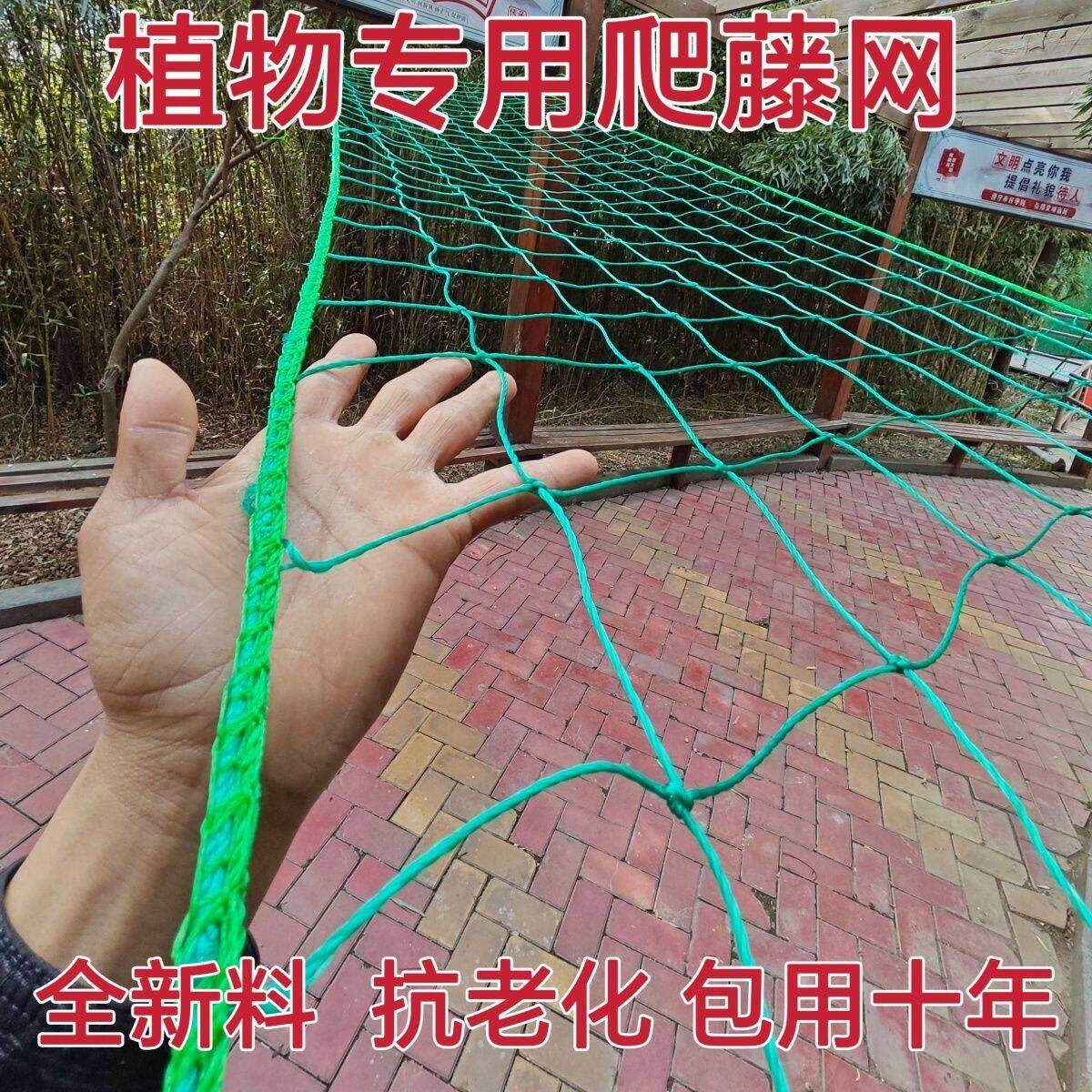 植物爬藤网百香果豆角黄瓜月季吊瓜丝瓜苦瓜葡萄种植搭架大棚网