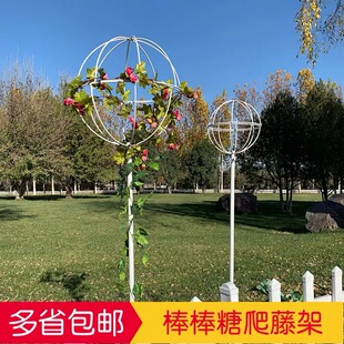棒棒糖花架爬藤架风车茉莉蓝雪花球形园艺造型花盆支架植物攀爬架