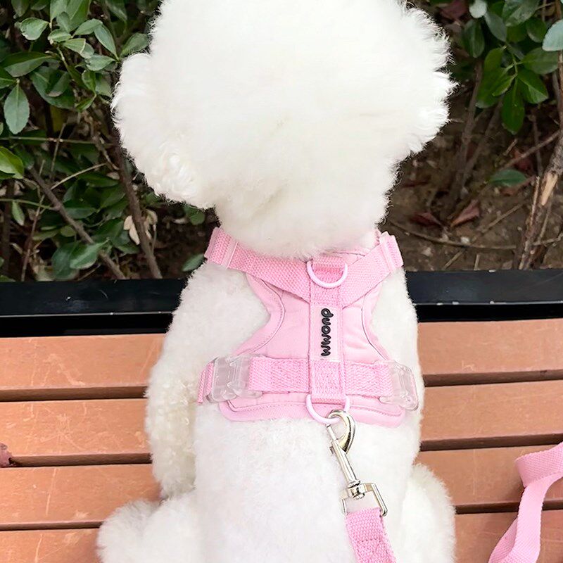 狗狗牵引绳中小型犬比熊泰迪博美可调节夜间反光小狗绳宠物胸背带