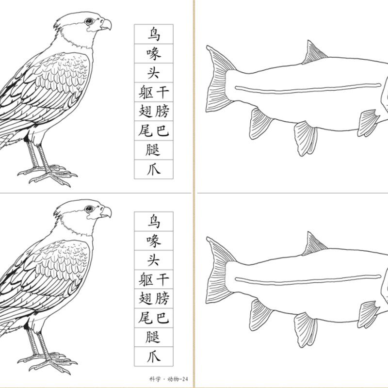 蒙台梭利纸上作业纸 蒙氏纸上作业本 数学区 科学区 日常区作业纸