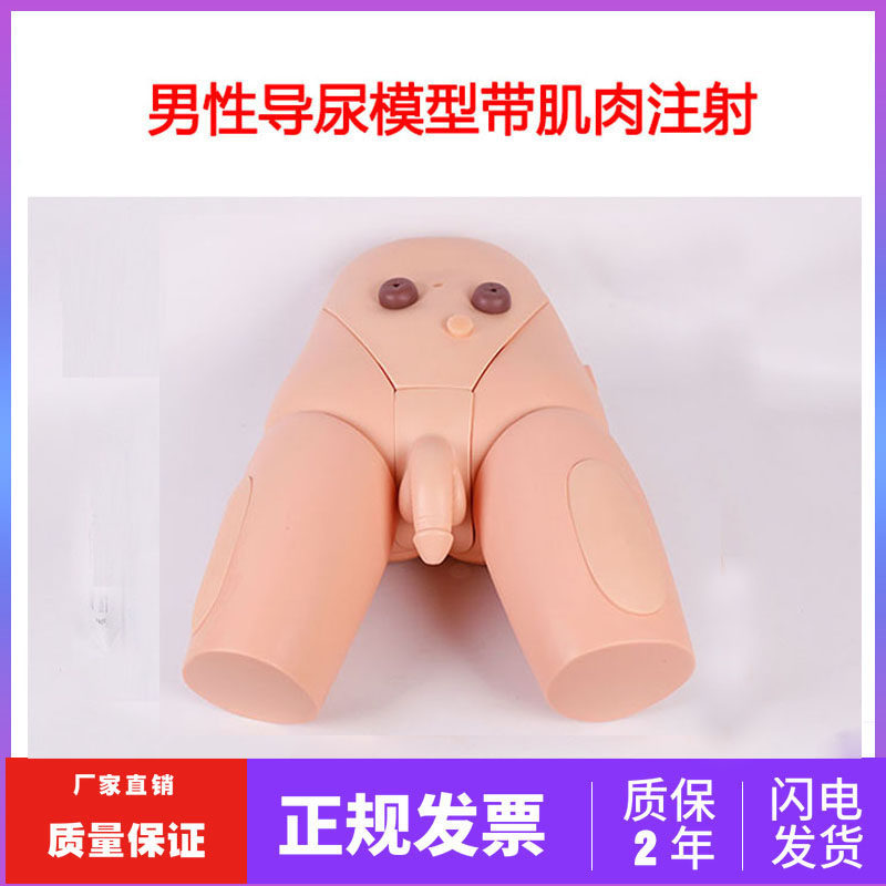 高级男女性导尿模型灌肠模型医学用导尿术操作模特下半身护理人体