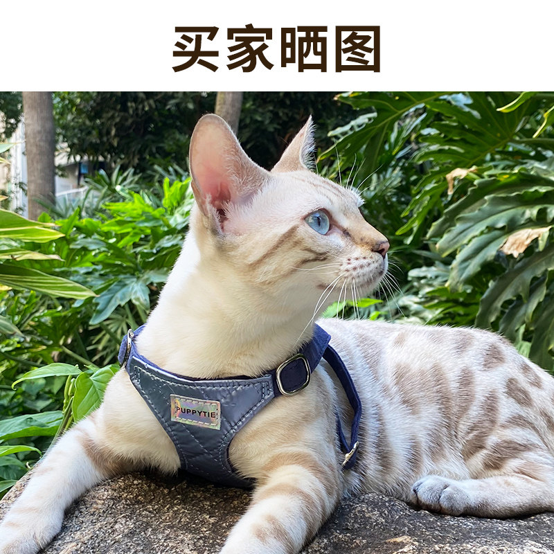 猫咪牵引绳背心式胸背带外出专用防挣脱溜猫绳子栓猫链子宠物用品