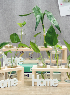 北欧水培植物玻璃花瓶水培绿萝植物容器客厅办公桌台面装饰品摆件