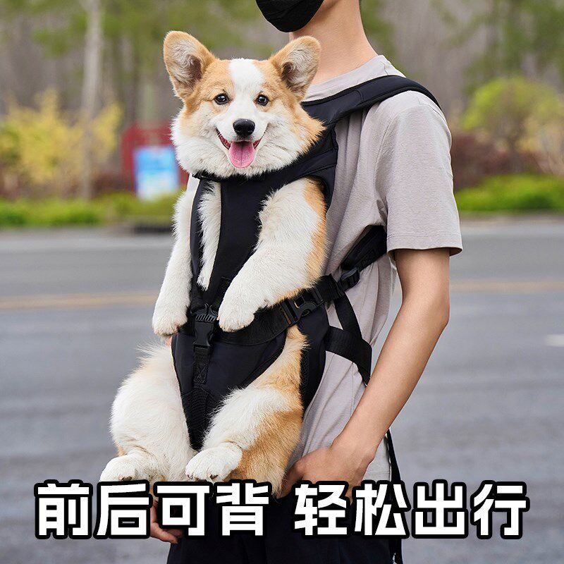 狗狗背包宠物便携外出抱狗神器双肩背猫包大容量柯基比熊前后可背