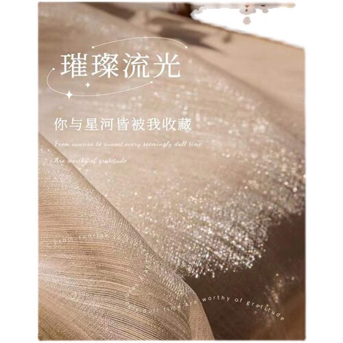 法式轻奢珠光梦幻窗帘高级感琉光纱帘客厅卧室透光不透人美式轻纱