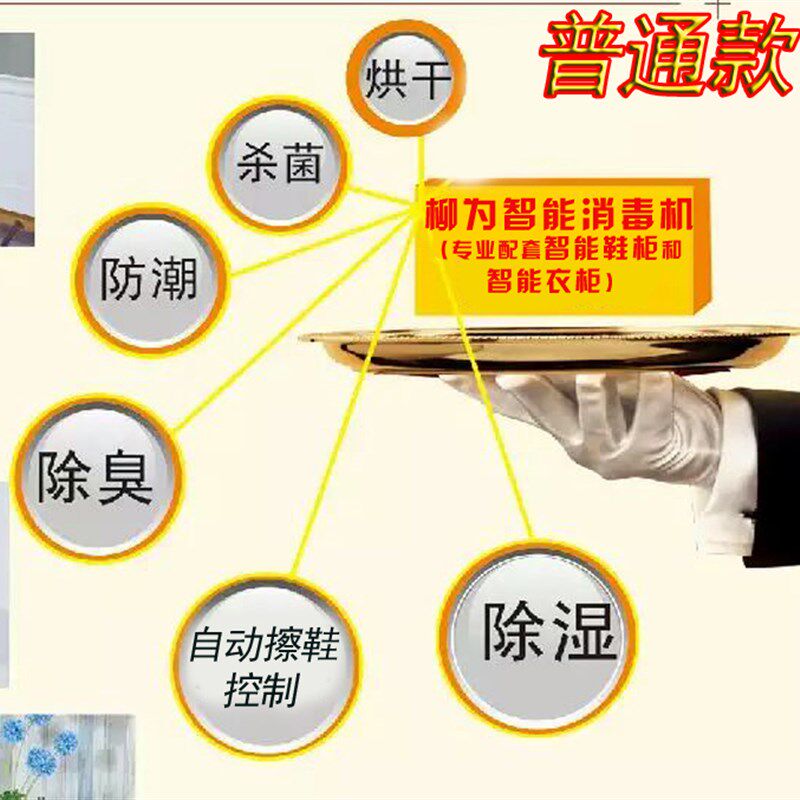 智能电子衣柜鞋凳鞋柜防霉防潮烘干护理消毒杀菌除臭机控制器定制