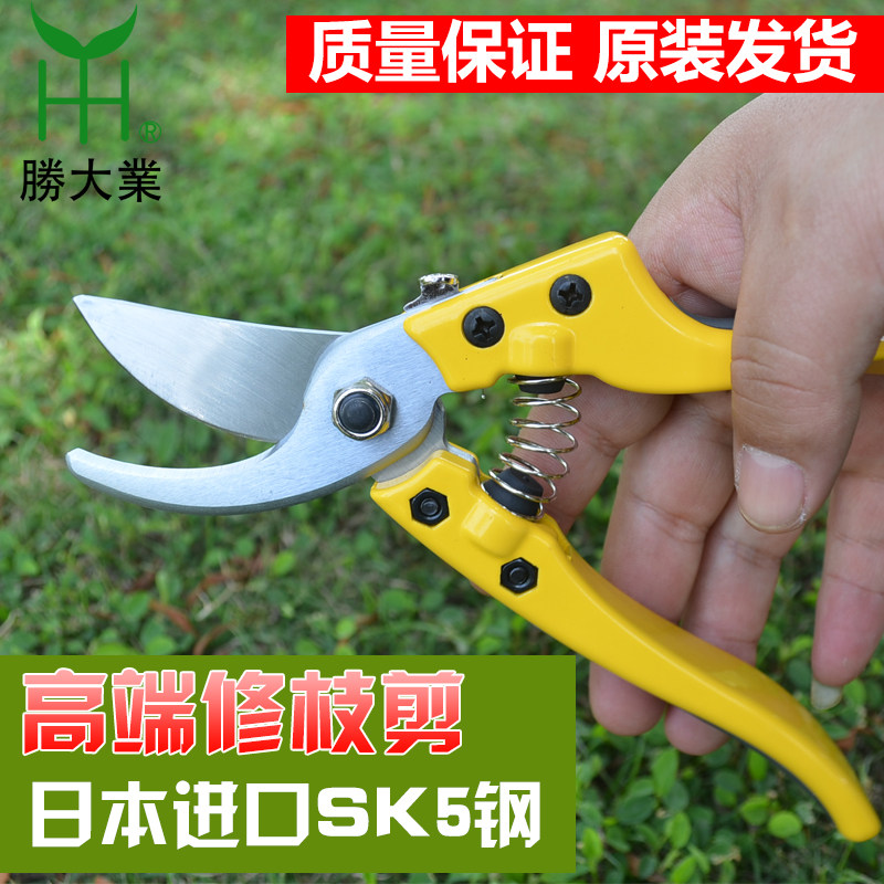 绿化家用修枝剪修花木园林工具园艺剪刀果树剪子粗枝剪花剪树枝剪