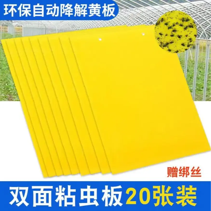 黄色双面粘虫板贴纸强力小飞虫沾果蝇诱捕神器捉蚊子苍蝇xy