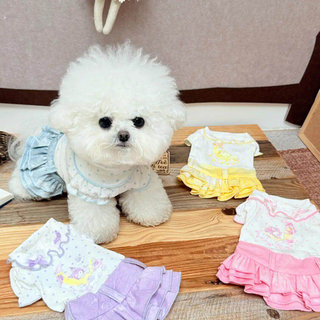 宠物衣服春日彩虹糖洋装