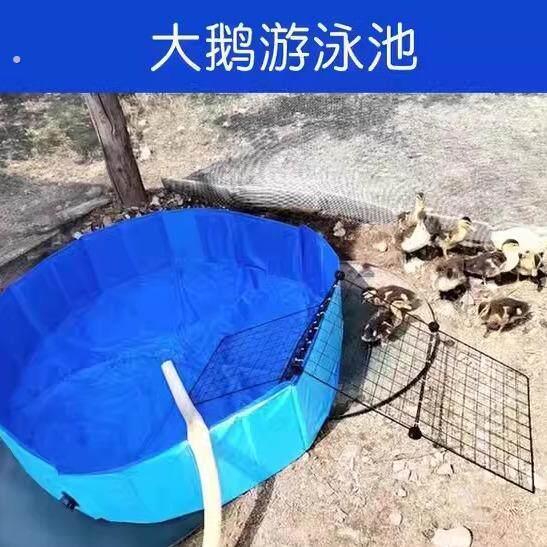 鸭子游泳水槽宠物洗澡盆可折叠大型犬专用游泳池浴缸洗澡桶猫浴盆