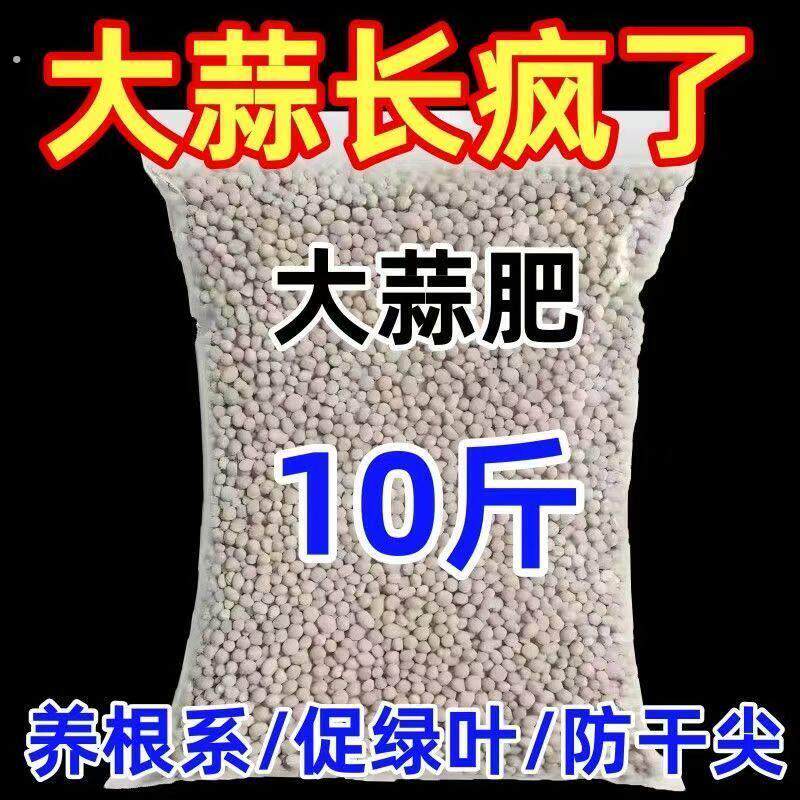 大蒜猛长大蒜专用肥膨大素防干尖防病害增产粗壮高产专用新型肥料
