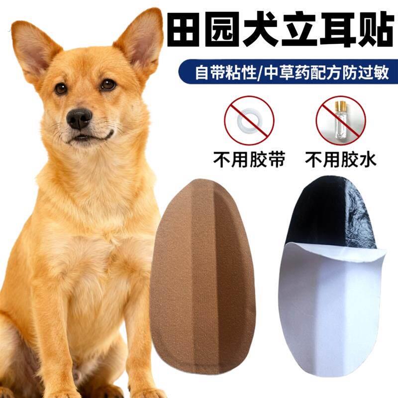 田园犬专用立耳神器狗狗立耳朵辅助器幼犬立耳器立耳珠小狗竖耳器