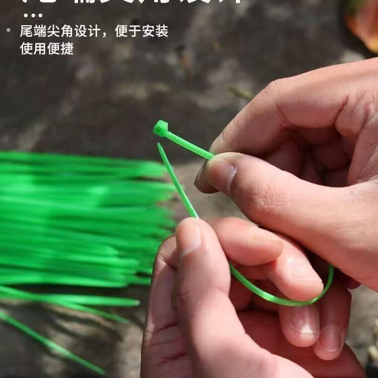 绿色一次性塑料尼龙扎带园林植物牵引固定扎丝捆绑月季藤蔓扎带条
