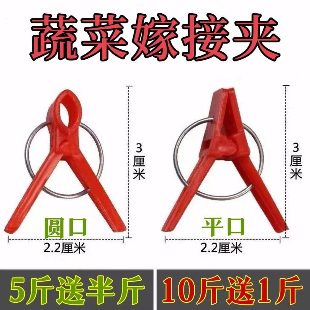 大棚蔬菜苗通用嫁接夹黄瓜苗番茄/西瓜甜瓜 圆口平口专用塑料夹子