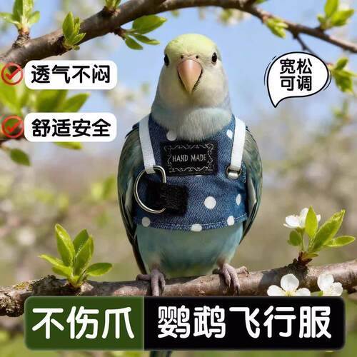 鹦鹉飞行背心神器背带虎皮牡丹牵引绳外出衣服背带式绳子飞行背带
