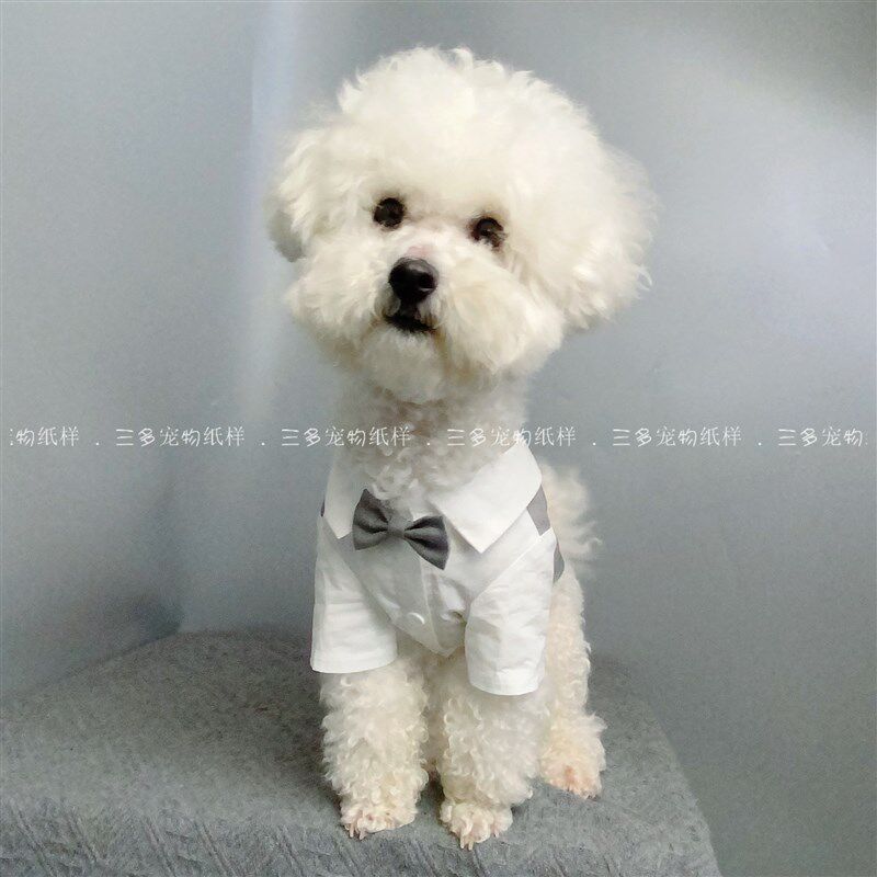 宠物西装马甲图纸短款衣服法斗雪纳瑞泰迪猫咪衬衫礼服纸样模板