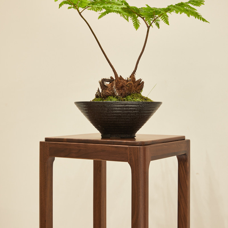 北美黑胡桃木花架家用实木花盆架客厅落地置物架意式极简盆景架子