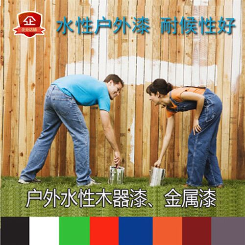 乐妍牌木器漆环保水性清漆防腐漆户外 金属漆醇酸磁室外用白色