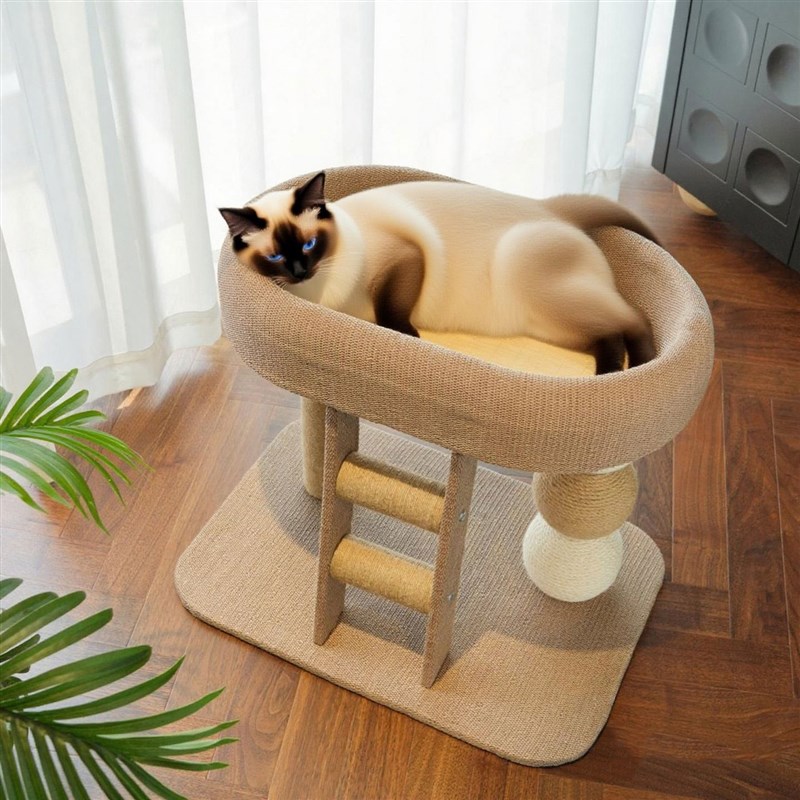 家用猫爬架猫窝一体小型猫爬剑麻架子矮脚猫不占地猫抓柱离地猫床图片
