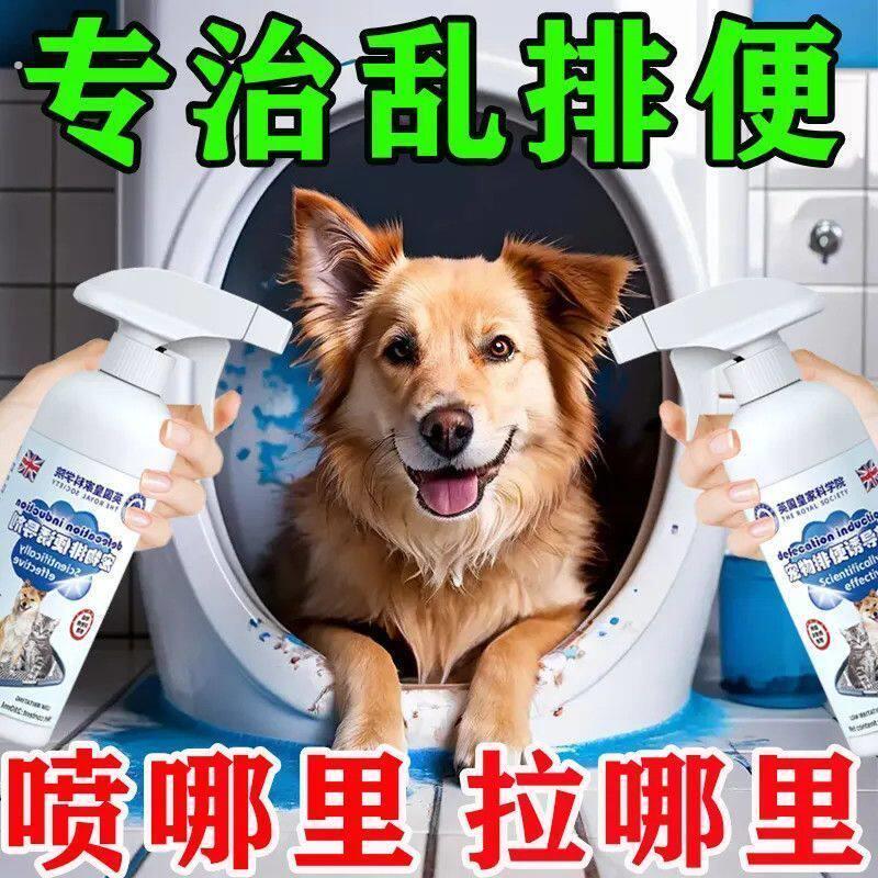 宠物定点排便幼犬拉屎训练防乱尿狗狗厕所诱导剂狗大小便引导