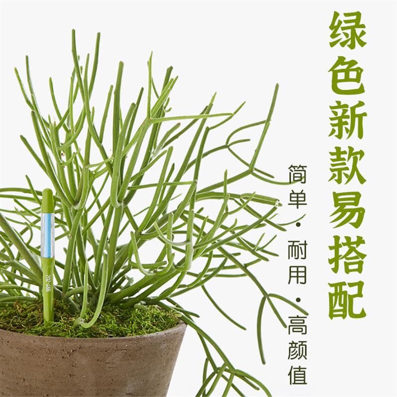 北京发货新手必用浇水神器辨别干湿土壤水分计SUSTEE水份计