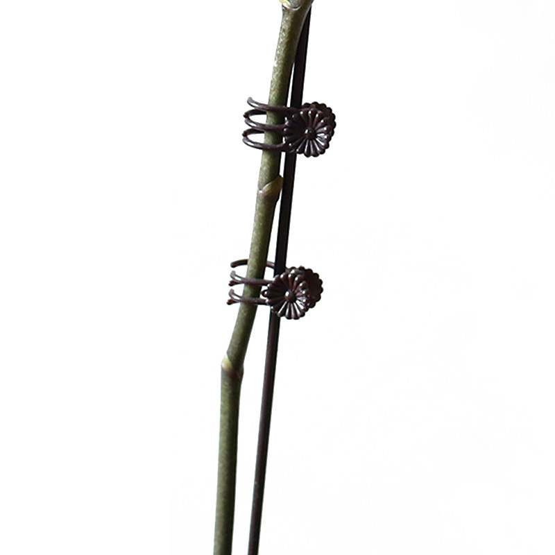 植物爬藤花架支架杆年花蝴蝶兰支撑杆造型蔓藤爬藤金钱树固定支架