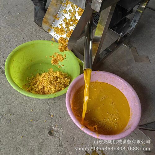 全自动果蔬破碎榨汁机 螺旋挤压打汁机渣汁分离水果榨汁机厂家