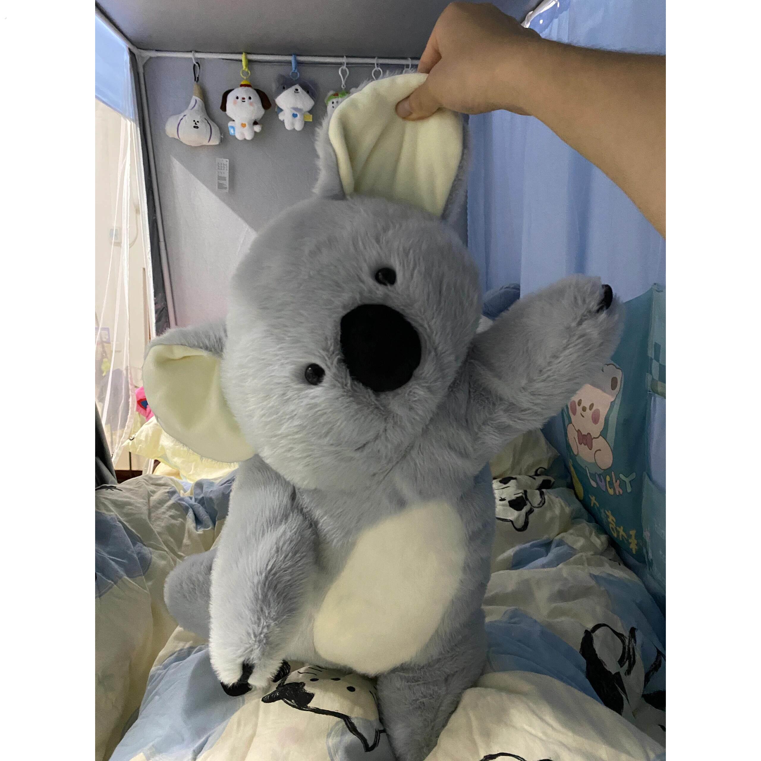考拉娃娃舒缓睡眠枕头女孩超级柔软填充枕头生日礼物男友的朋友娃