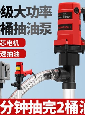 德国进口亨亨手提式电动抽油泵220v大功率高压式机油柴油泵油桶泵