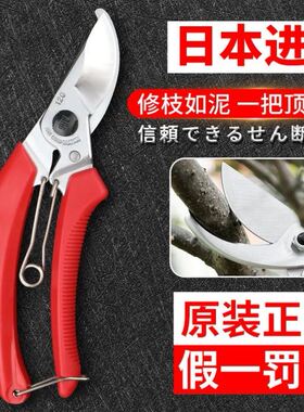 日本原装正品剪子进口树枝修枝枝剪剪刀园林果园盆景花艺剪子锋利