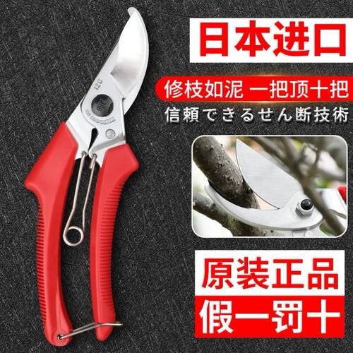 日本原装正品剪子进口树枝修枝枝剪剪刀园林果园盆景花艺剪子锋利
