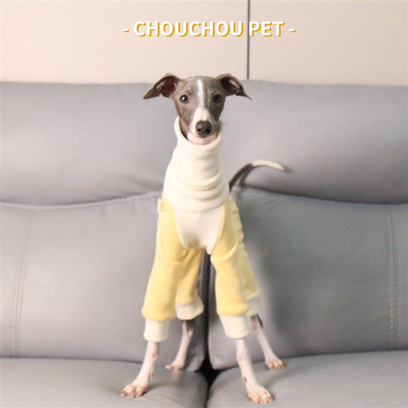 意大利小灵缇高领四脚衣柔软弹力保暖惠比特拼色保暖宠物服装