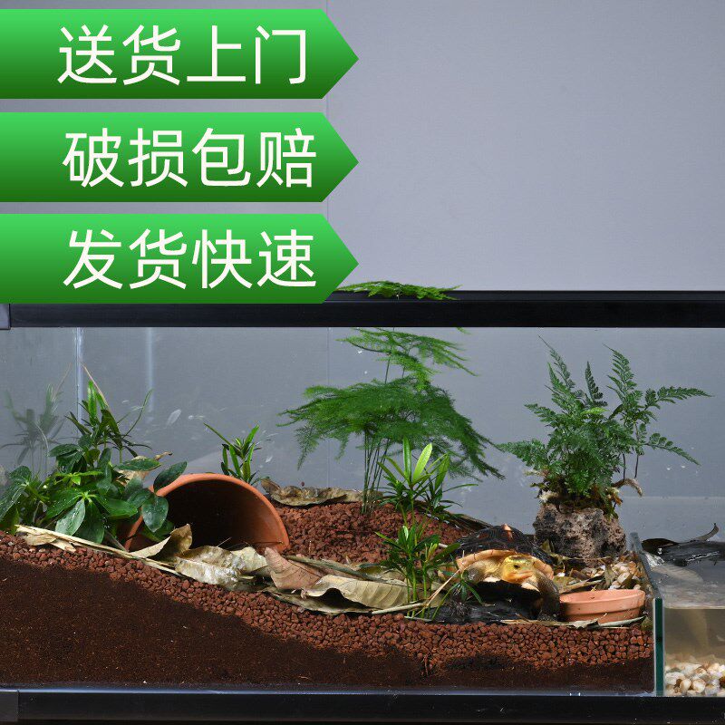 黄缘龟缸专用玻璃水陆缸乌龟带晒台生态造景安缘半水龟大型饲养箱