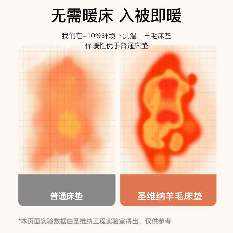 澳洲羊毛床垫毡子加厚保暖软垫被褥铺底秋冬羊羔绒毛毯家用榻榻米