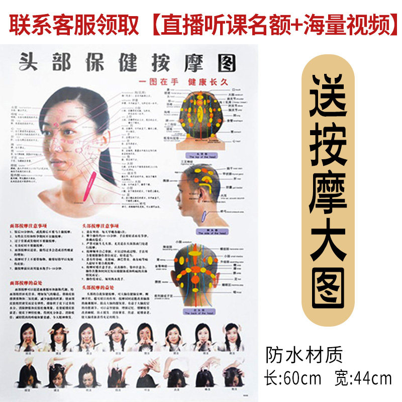 美容头模脸部穴位皮肤管理头模带肩膀假人头软质光头模特学徒练习