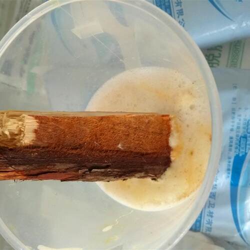 木材漂白剂 工业级木器漂白水除霉斑处理剂除黑斑