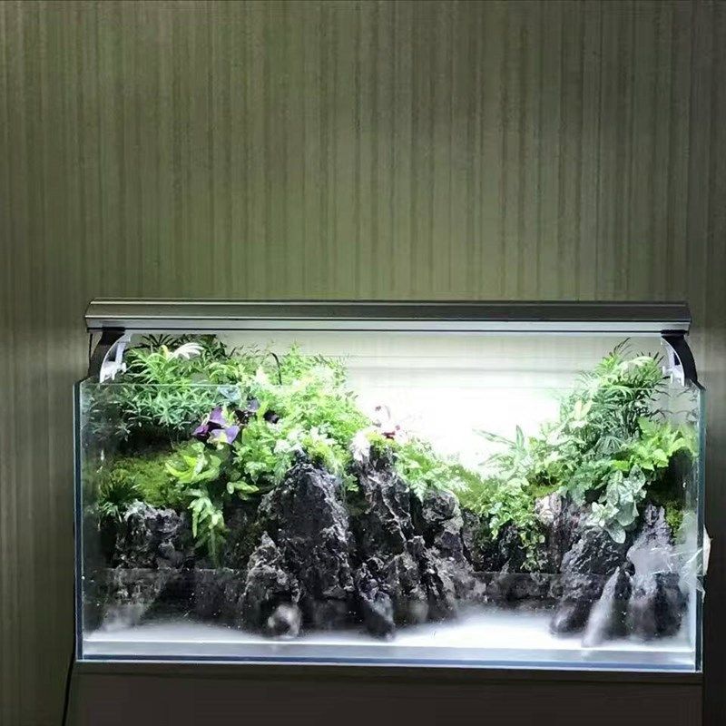 山东金晶五线水草缸生态鱼缸水族箱生态缸水族造景过滤材料包邮