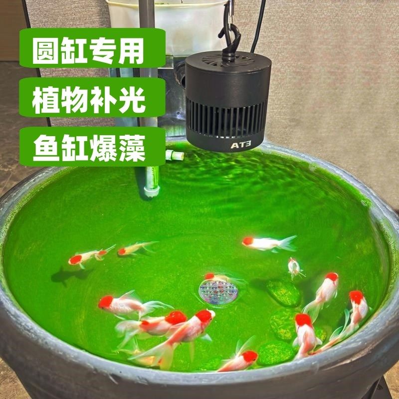 落地鱼缸吊灯挂灯支架全光谱圆形鱼缸土缸古法养鱼暴藻显色水草灯图片