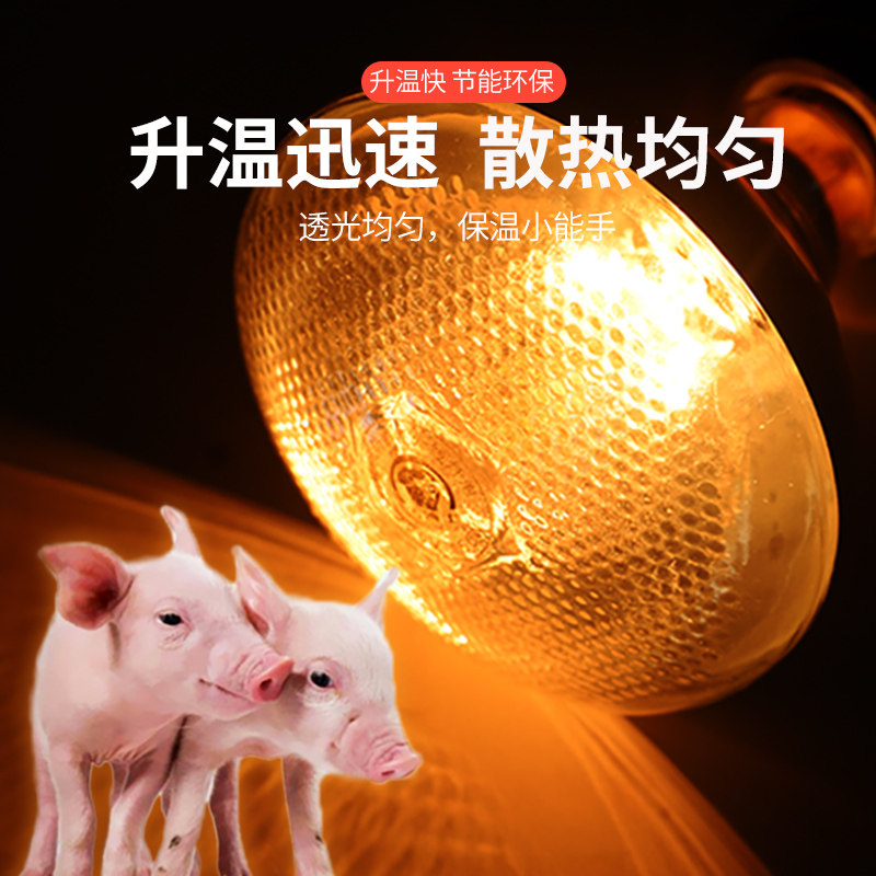 小猪小鸡保温灯保暖仔猪取暖灯泡养殖加热烤灯育雏养殖场专用灯泡