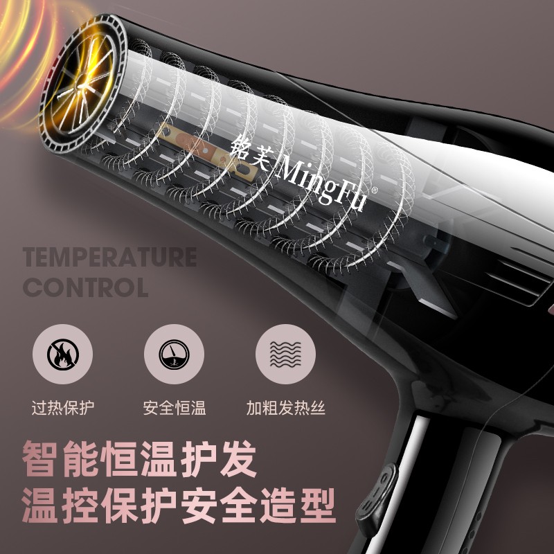 电吹风机家用理发店大风力功率发廊发型师专用风筒负离子护发正品