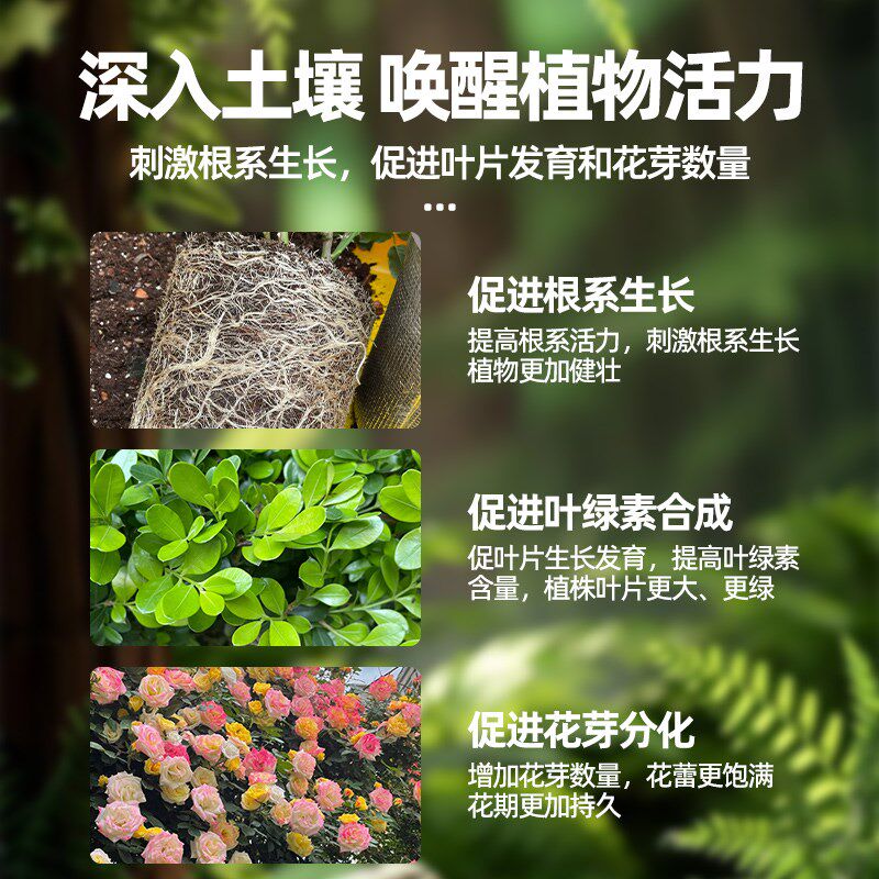缓释肥植物专用颗粒肥家用农用室内外庭院花卉绿植通用型氮磷钾肥