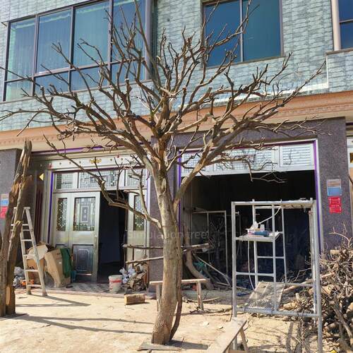 仿真干树枝室内装饰舞台表演道具造景落地花艺摆件