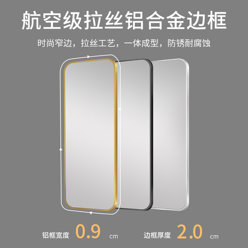 轻奢全身镜壁挂式贴墙玄关镜穿衣镜家用试衣镜卧室金边框落地镜子